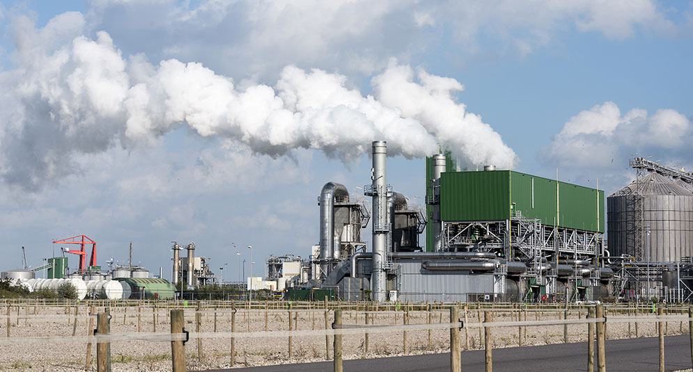 脱硫塔草莓视频下载黄色