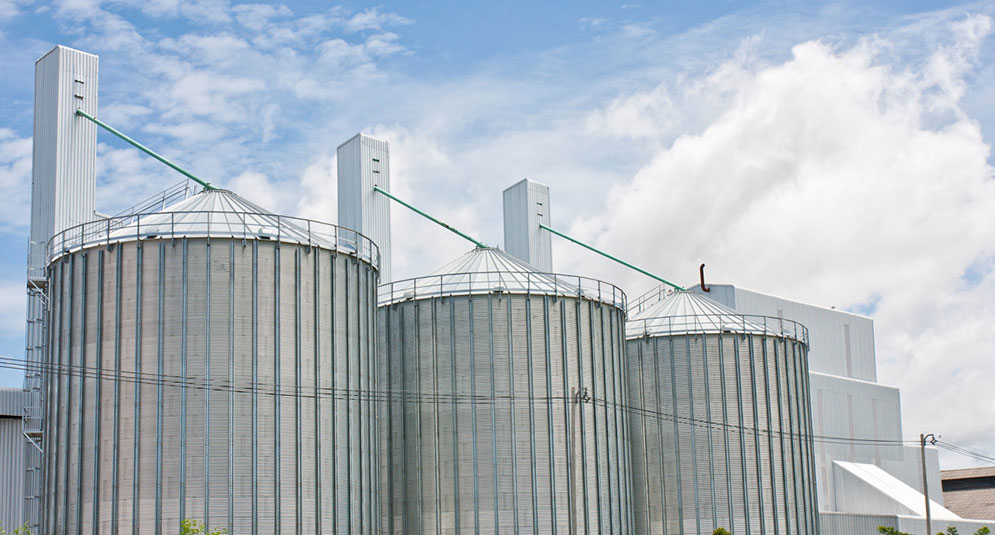 玻璃钢草莓视频下载黄色