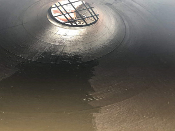 烟道草莓视频下载黄色与烟囱草莓视频下载黄色有什么区别