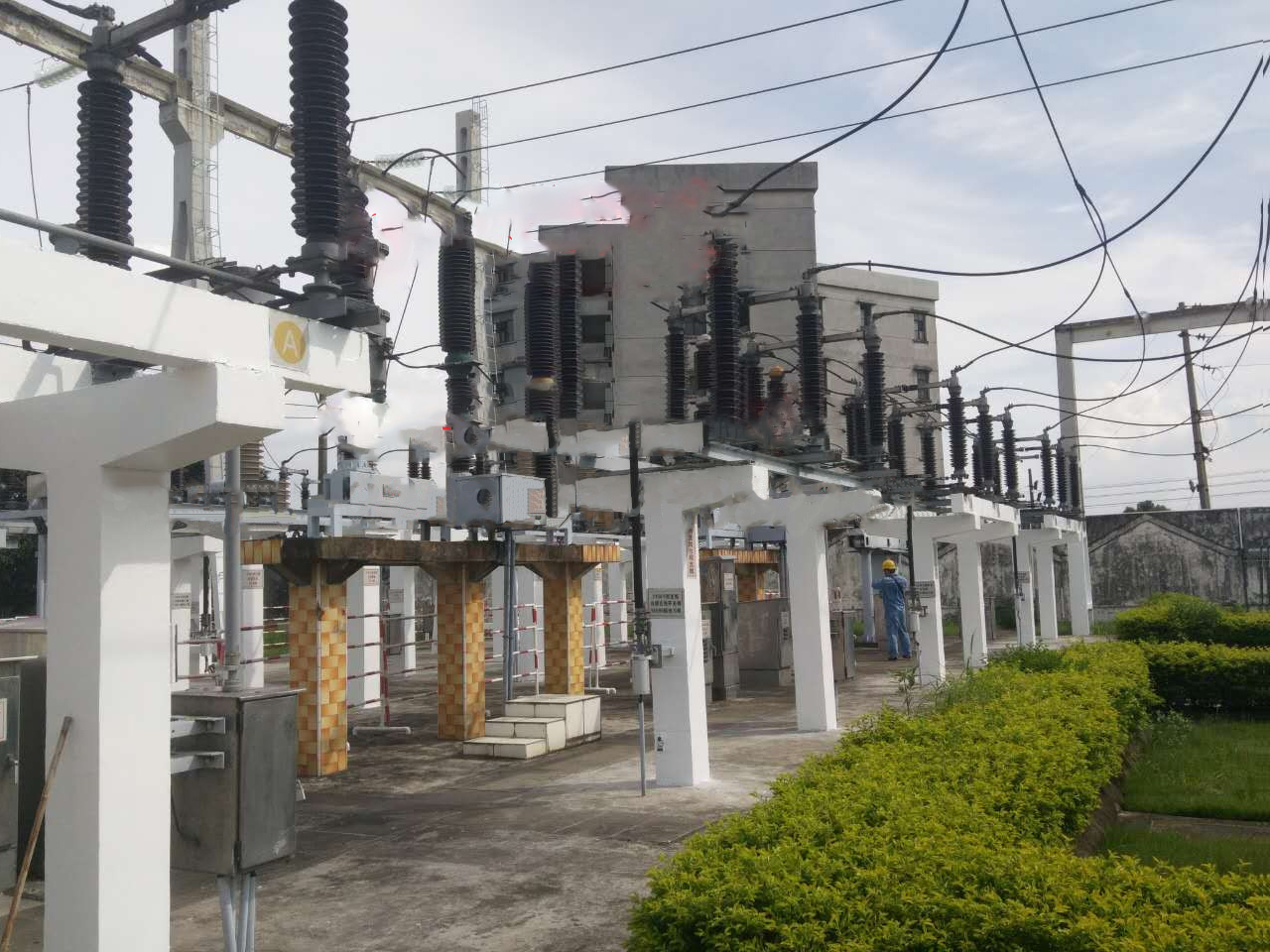 草莓视频下载黄色耐磨