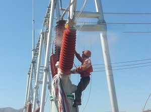 草莓视频下载黄色耐磨